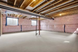 1327 Bush Hill Link Interior Basement