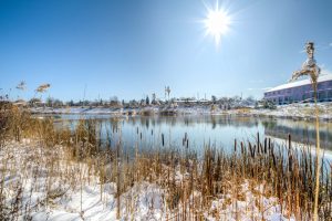 Pond View