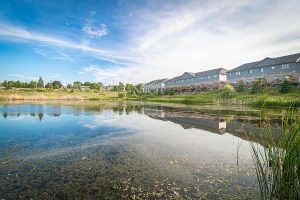 Exterior Pond