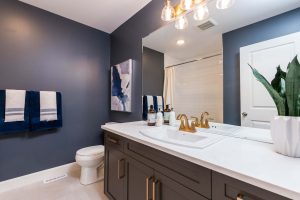 Main bathroom with blue walls